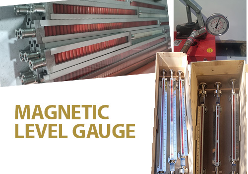Magnetic Level Gauge