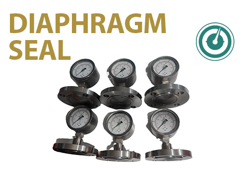 Flanged Diaphragm Seal 